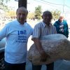 Comedores y Hogares